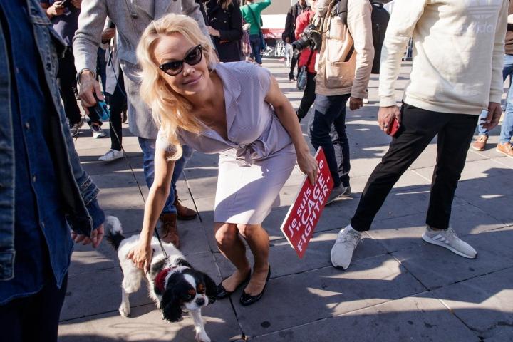 Τι κάνει η Pamela Anderson μέσα στο κλουβί; Τι κάνει η Pamela Anderson μέσα στο κλουβί;